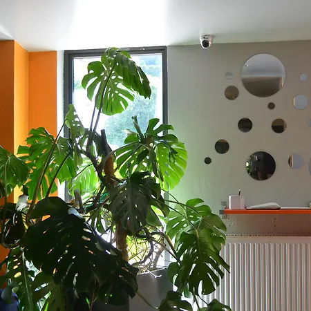 Hotel Martinez 2*